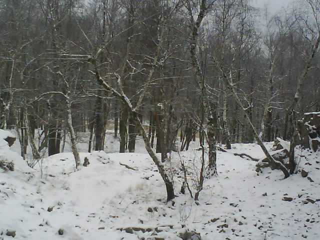 cviceni brdy leden 004.jpg